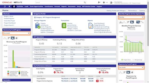 charity reports netsuite|Non.